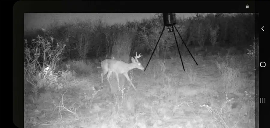 449 Double Eagle Road, George West, TX 78022 - #3