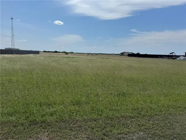 230 Anaqua Drive, Orange Grove, TX 78372