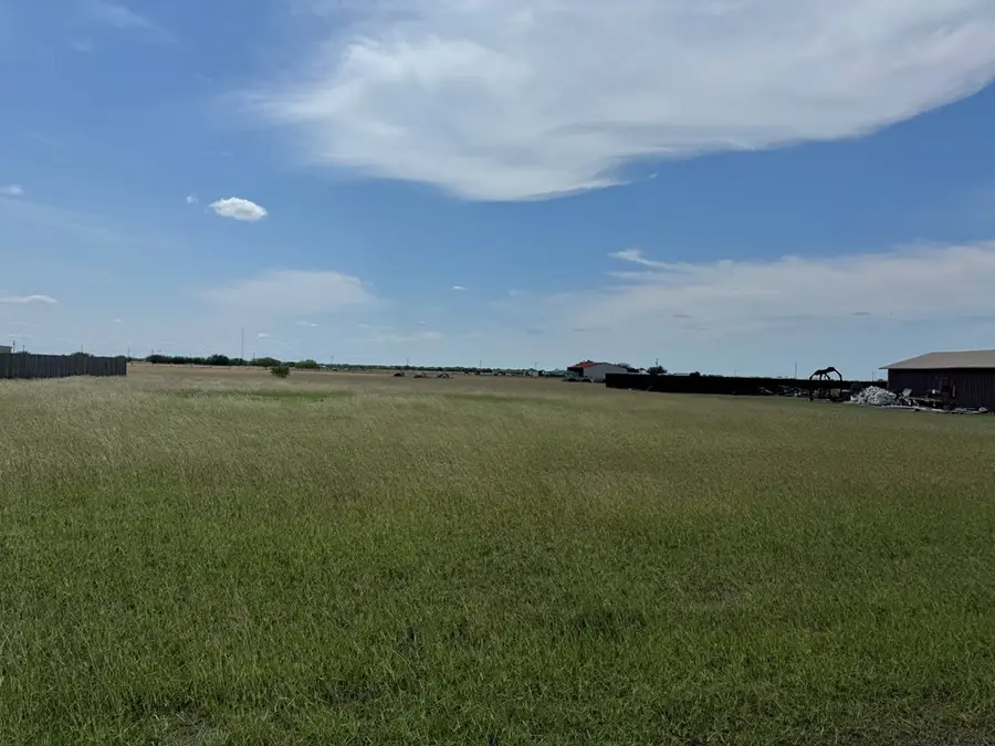 230 Anaqua Drive, Orange Grove, TX 78372 - #3