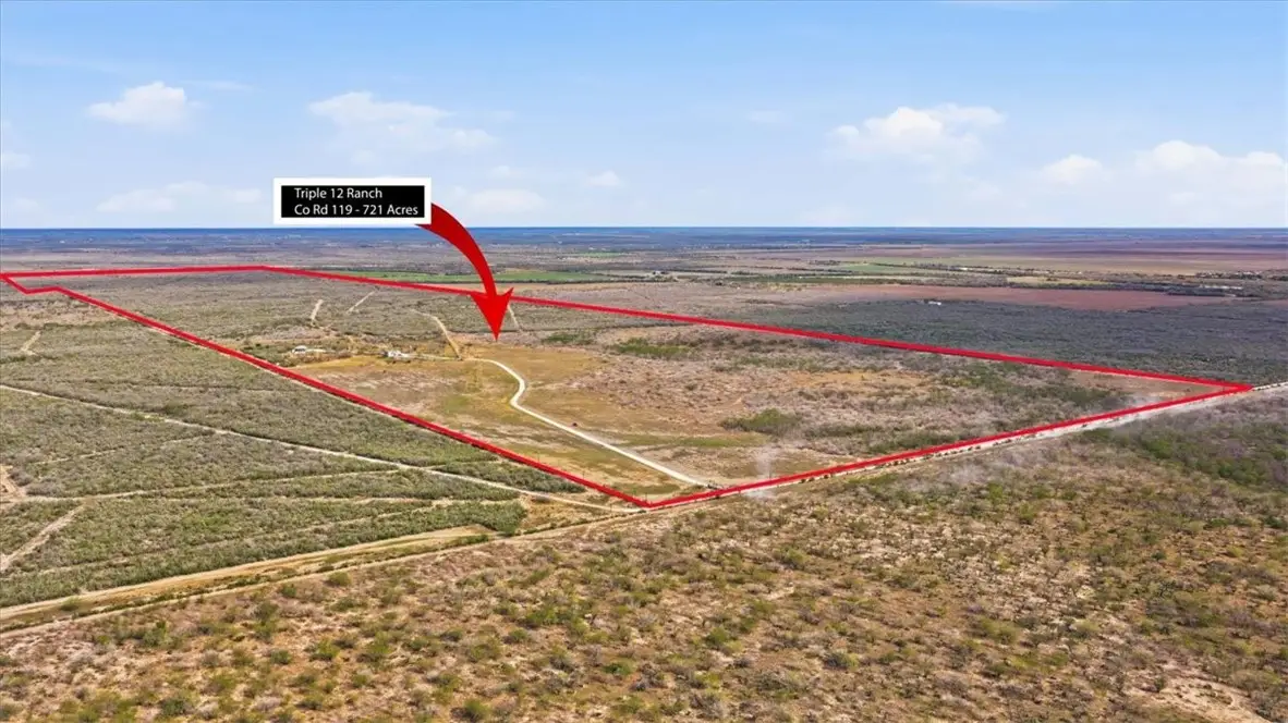 817 County Road 119, Alice, TX 78332 - #1