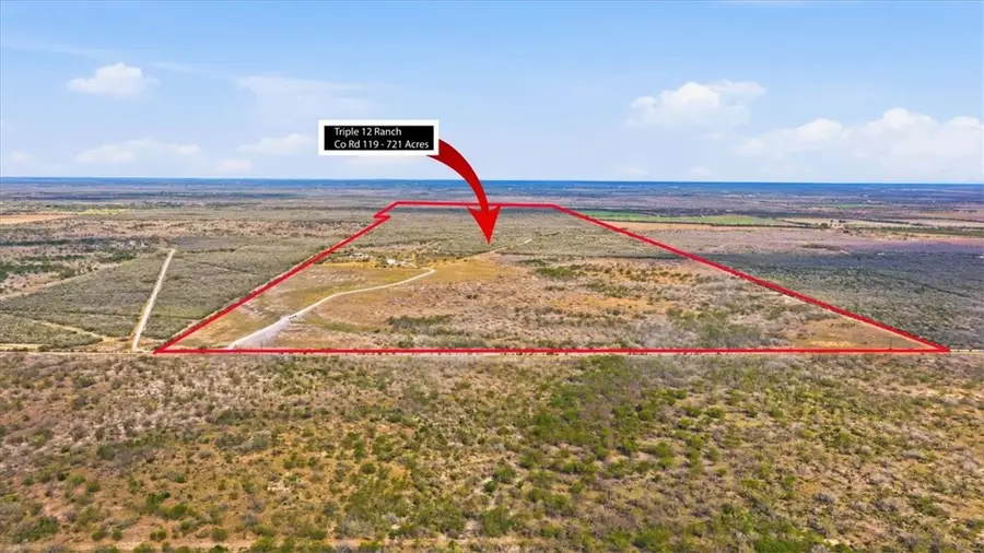 817 County Road 119, Alice, TX 78332 - #2