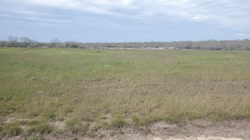 Lot 3 T-head Drive, Riviera, TX 78379 - #1