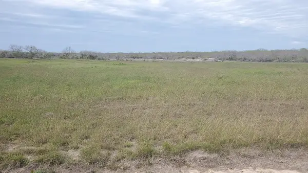 Lot 3 T-head Drive, Riviera, TX 78379