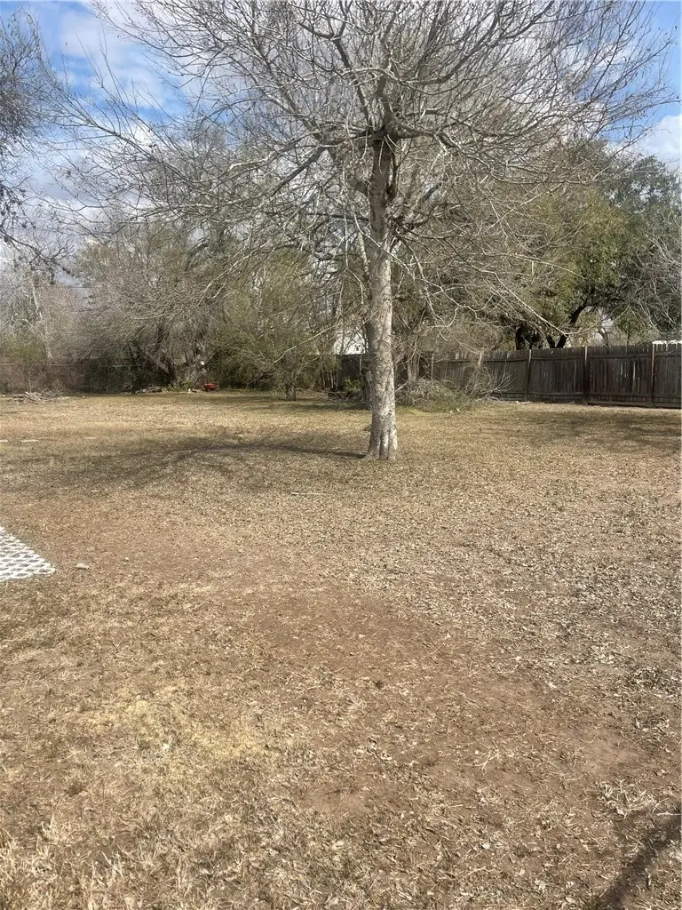 429 W 5th Street, Alice, TX 78332 - #2