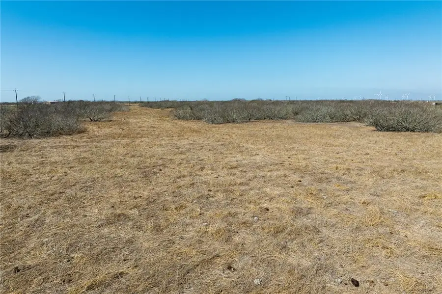 0 County Road 2200, Taft, TX 78390 - #2