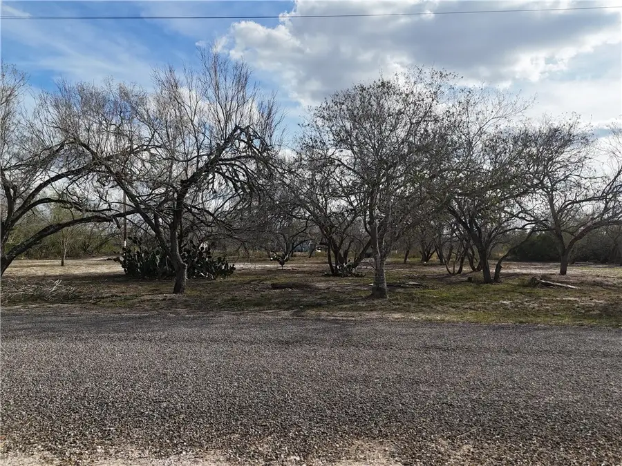 TBD Cr 3053, Orange Grove, TX 78372 - #2