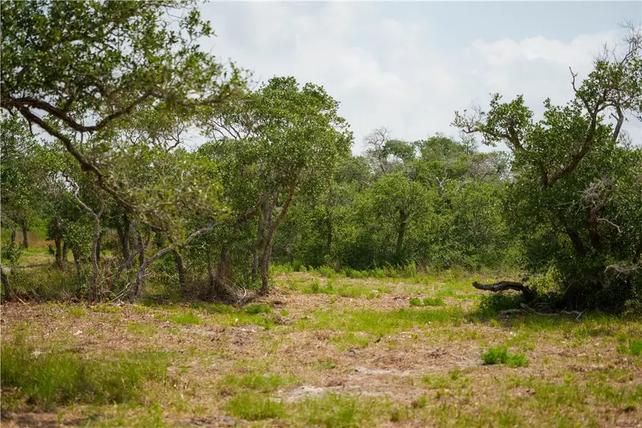 704 State Highway 35 Highway, Rockport, TX 78382 - #2