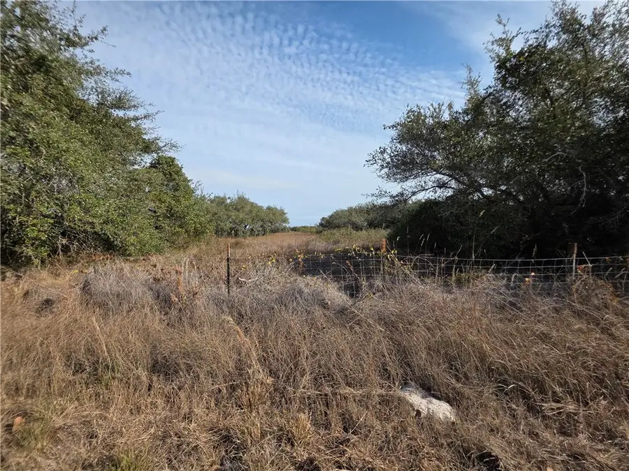 1555 Stoddard Avenue, Aransas Pass, TX 78336 - #3