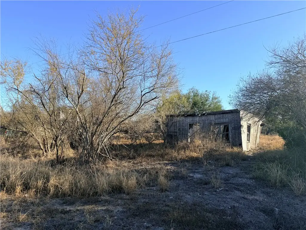 410 W 3rd Street, Bishop, TX 78343 - #1