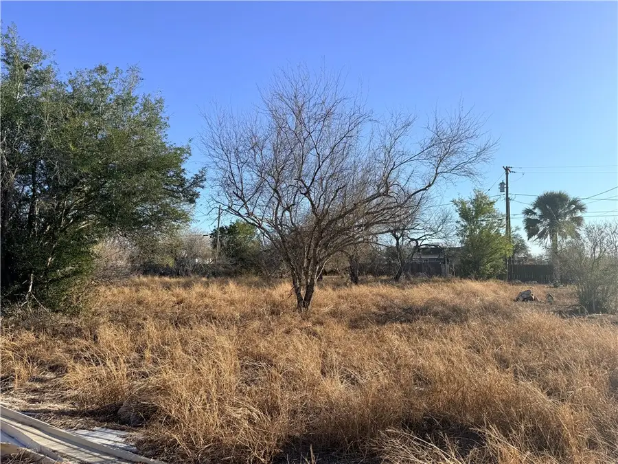 410 W 3rd Street, Bishop, TX 78343 - #2