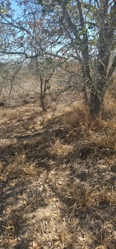 432 Peaceful, San Antonio, TX 78264 - Image #3