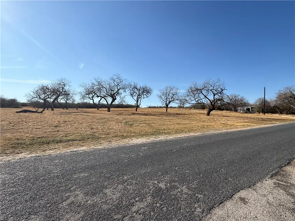 354 Co Road 175, Sandia, TX 78383 - #1