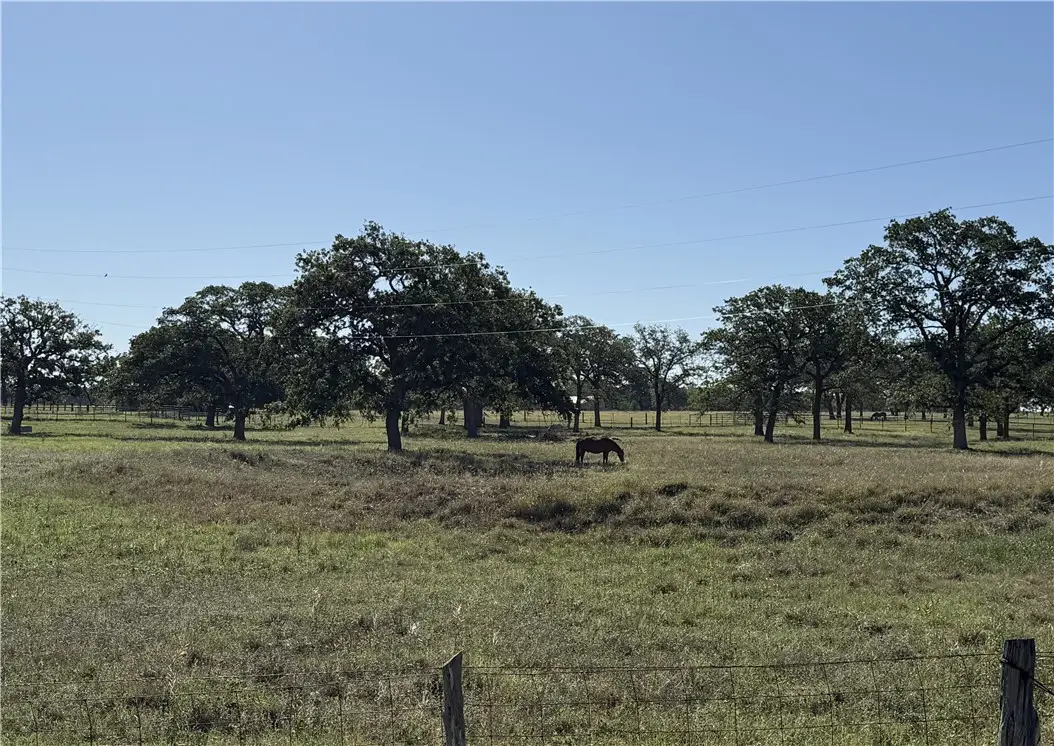 TBD Hwy 123, Stockdale, TX 78160 - #1