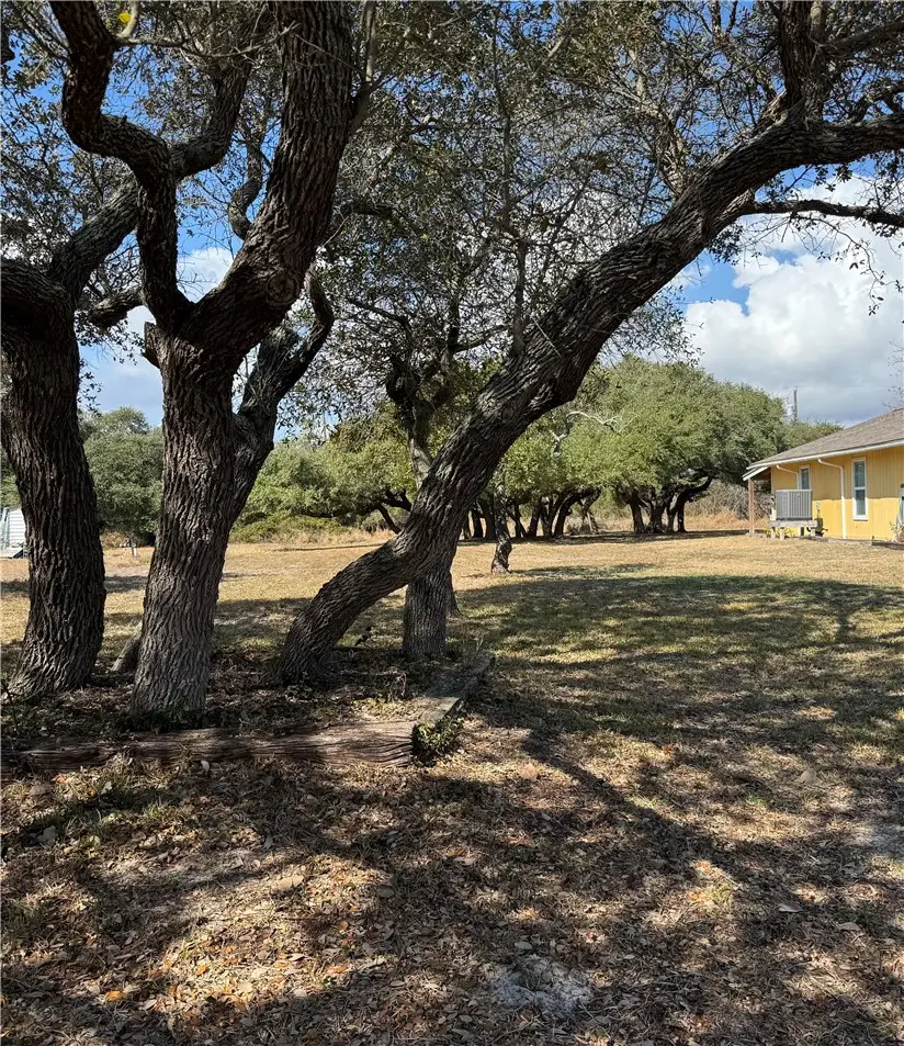 0 S Lamont Street, Aransas Pass, TX 78336 - #2
