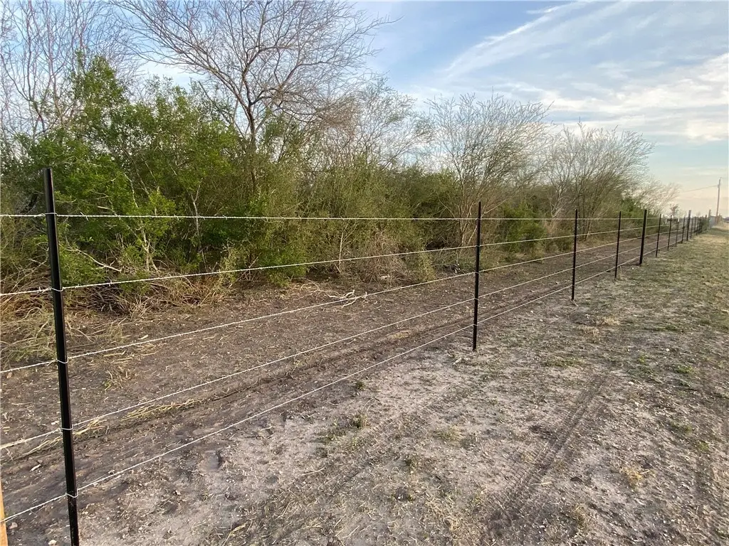 270 S Cr 307, Orange Grove, TX 78372 - #1