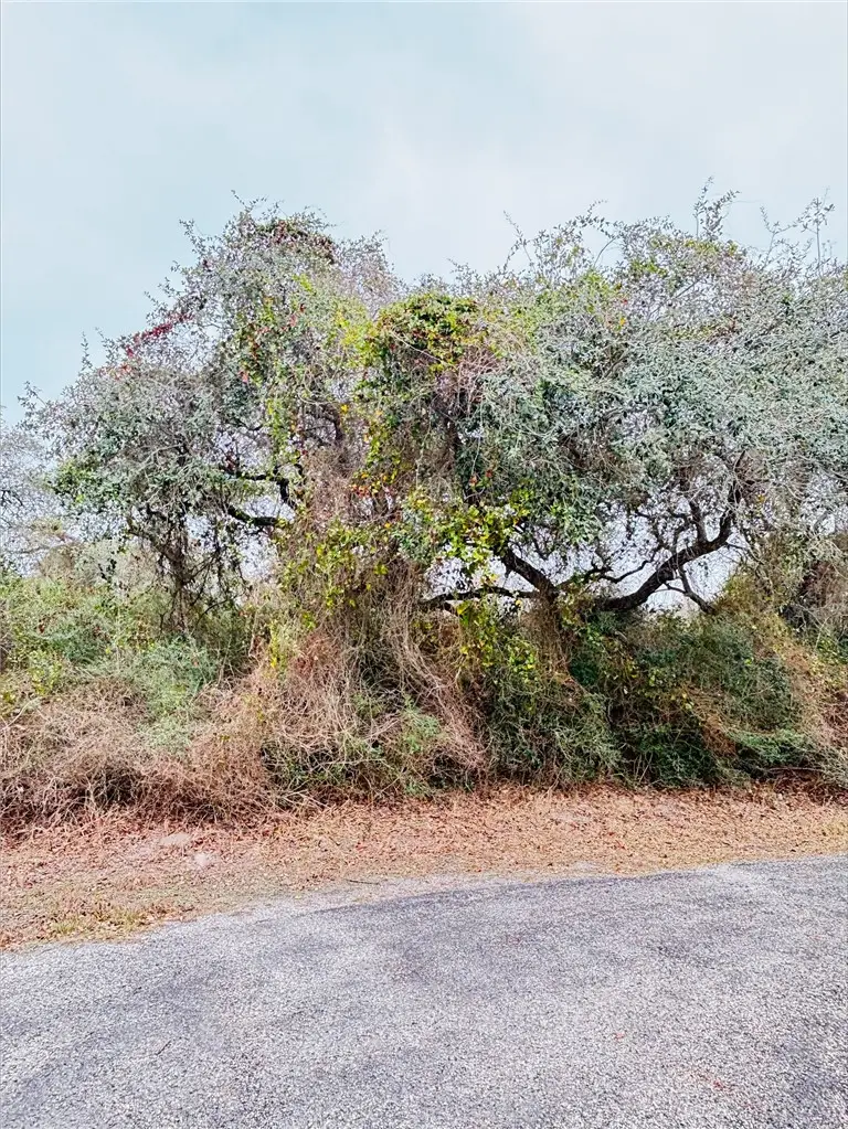 38 Oakshore Loop, Rockport, TX 78382 - #2