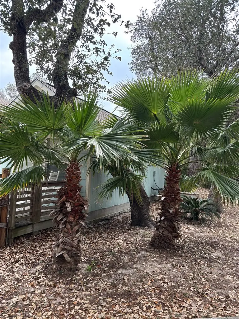 5481 Highway 35 N #6, Rockport, TX 78382 - #3