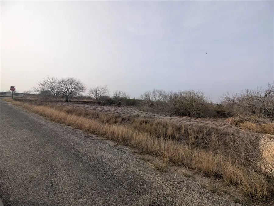 0 Cr-14e Circle, Bishop, TX 78343 - #2