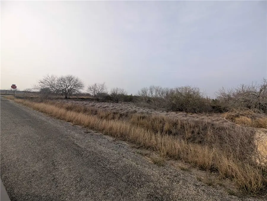 0 Cr-14e Circle, Bishop, TX 78343 - #3