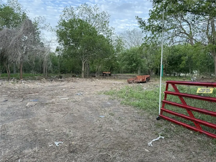 6141 Carrie Beth, Sandia, TX 78383 - #3