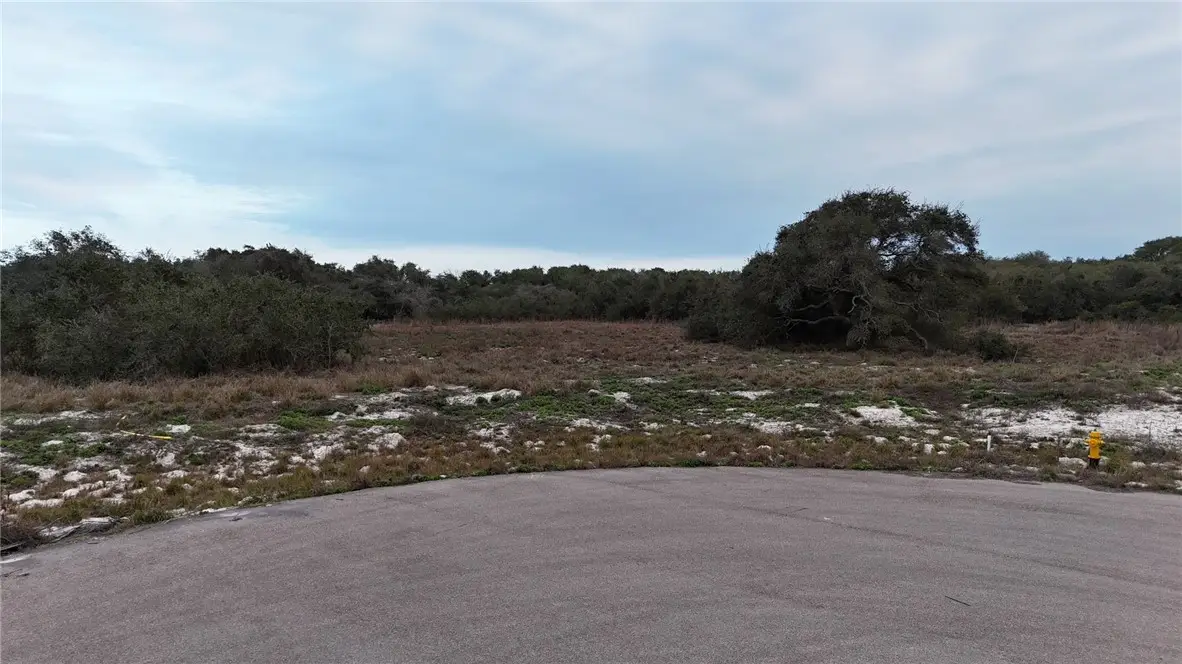 3226 Orlov Trotter Drive, Corpus Christi, TX 78418 - #1