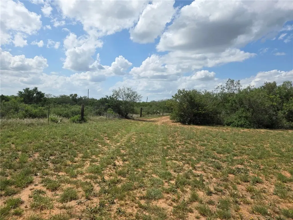 584 County Road 223, Rios, TX 78349 - #1