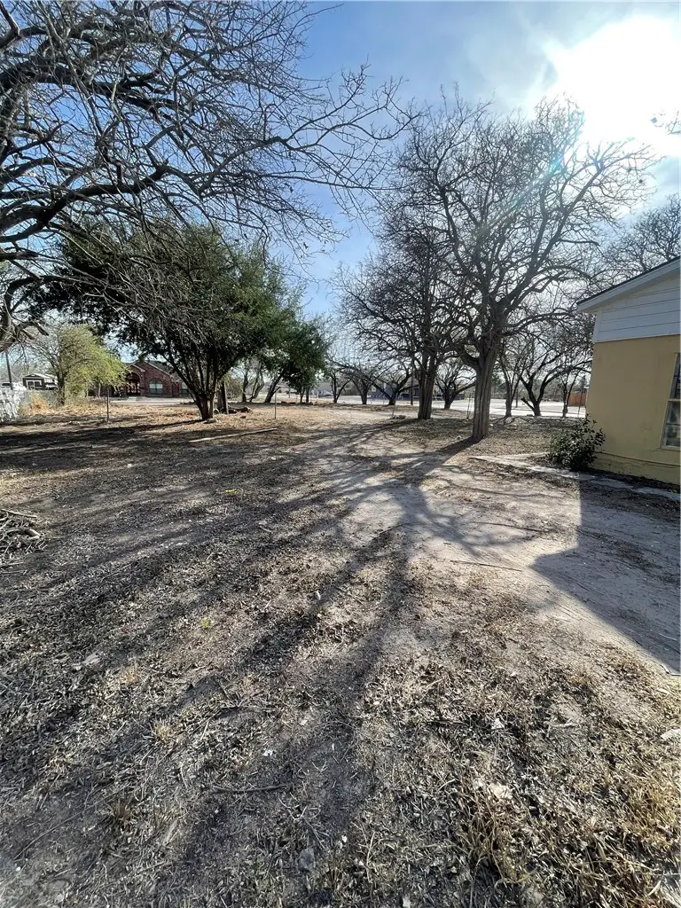 916 S Reynolds Street, Alice, TX 78332 - #3