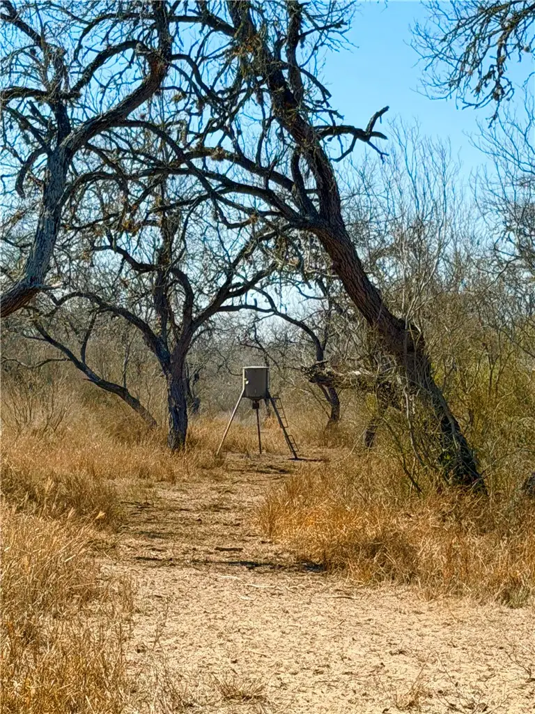 0 Tract 13 San Diego Creek Ranch, San Diego, TX 78384 - #2