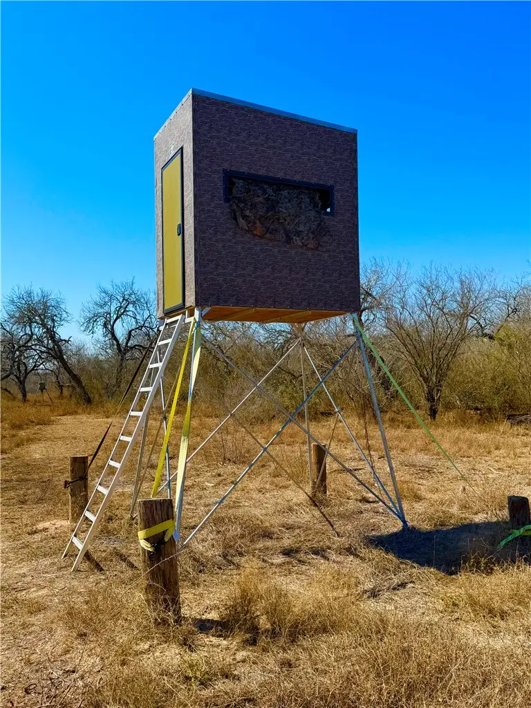 0 Tract 13 San Diego Creek Ranch, San Diego, TX 78384 - #3