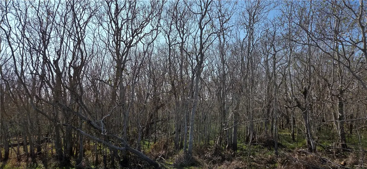 2515-D Monkey Road, Rockport, TX 78382 - #1