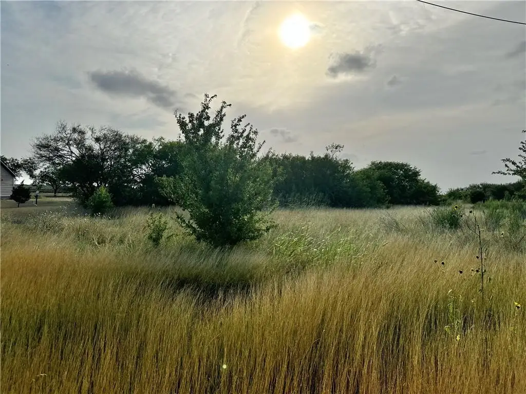 3845 Cobb Lane, Rancho Banquete, TX 78380 - #1