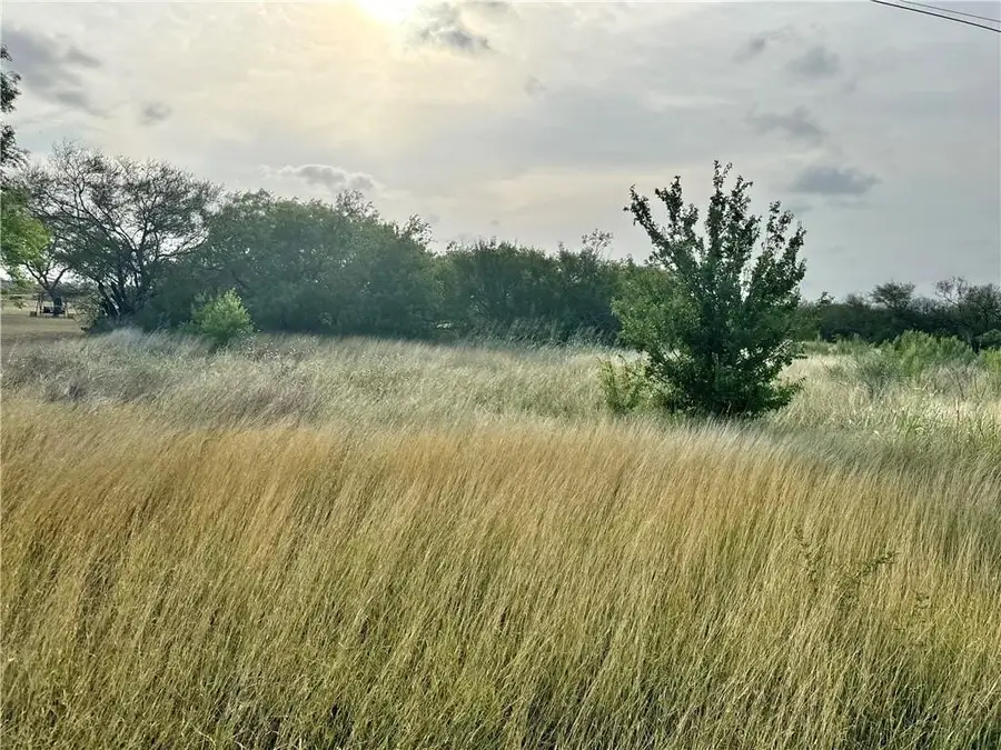 3845 Cobb Lane, Rancho Banquete, TX 78380 - #2