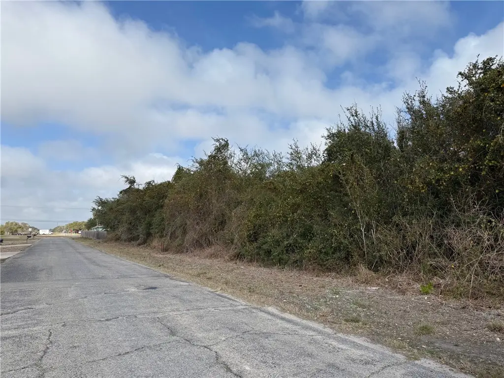 00 W Saunders Lane, Aransas Pass, TX 78336 - #1