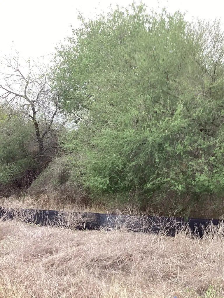 1 N Highway 281 Bypass, Alice, TX 78332 - #3