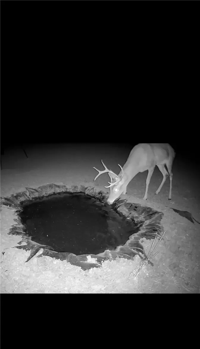 000 County Rd 207, Concepcion, TX 78349 - #2