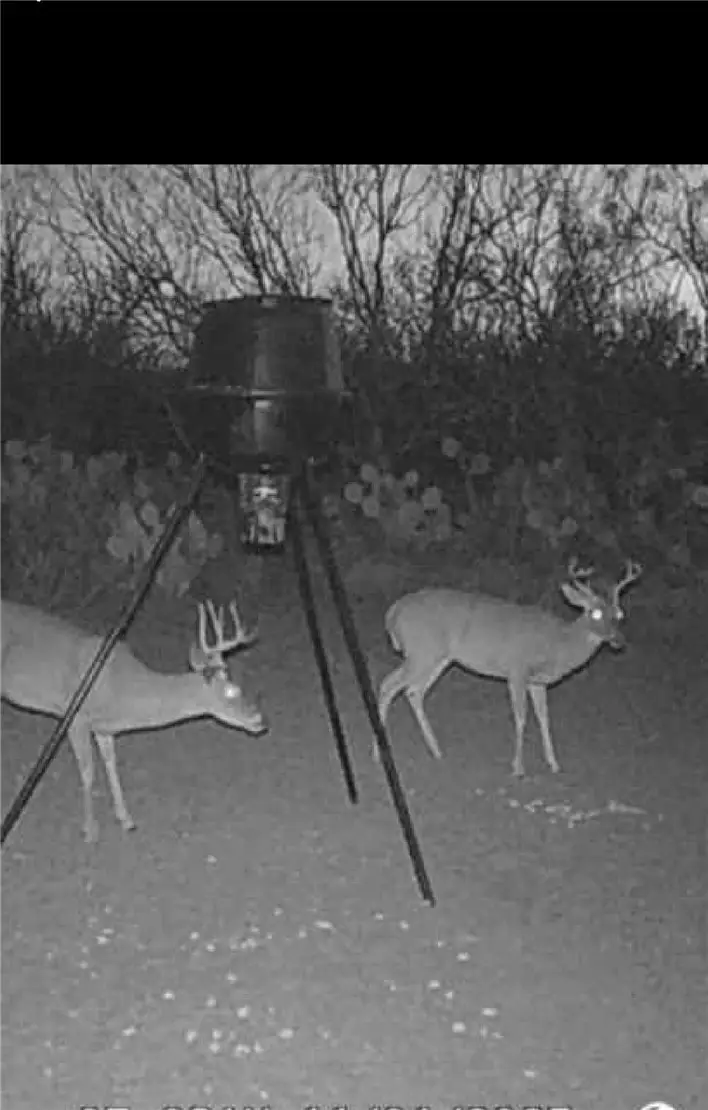 000 County Rd 207, Concepcion, TX 78349 - #3