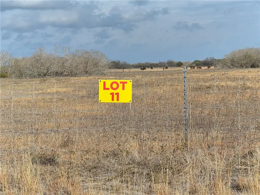 Lot 11 2180 County Road E, Kingsville, TX 78363 - #2