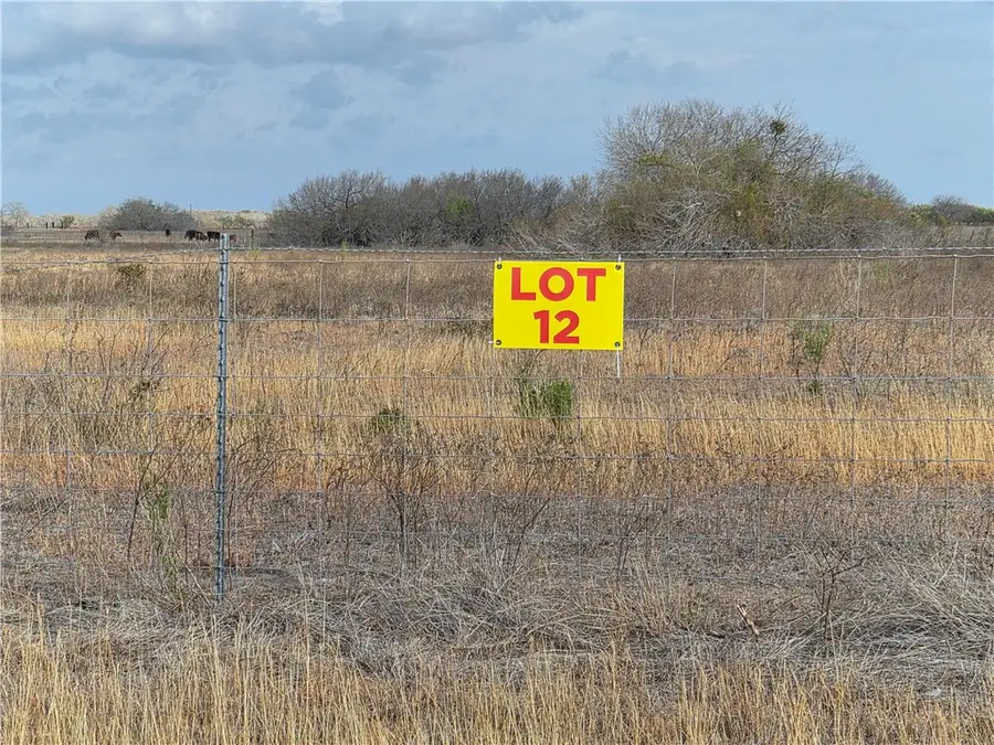 Lot 12 2180 County Road E, Kingsville, TX 78363 - #2