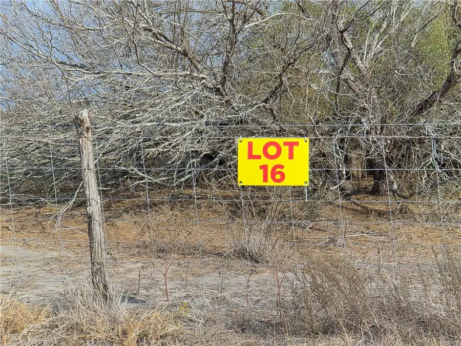 Lot 16 2180 County Road E, Kingsville, TX 78363 - #2