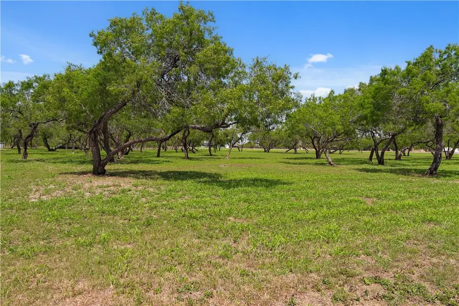 TBD Lonesome Dove, Robstown, TX 78380 - #3