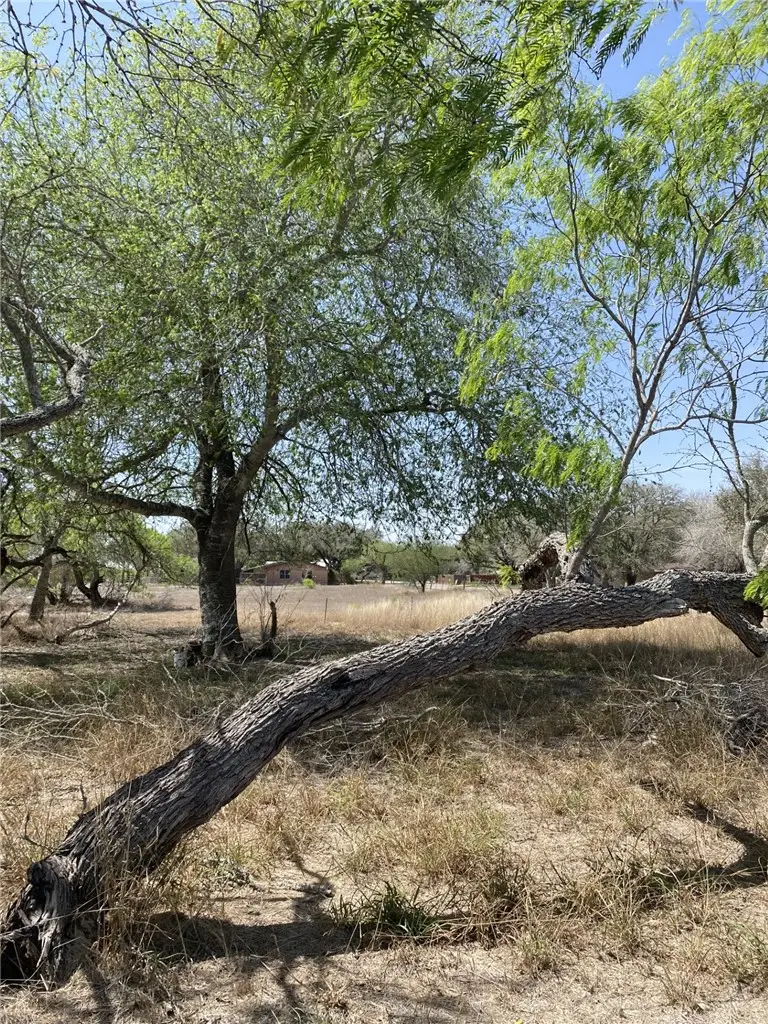 601 SW S Cr 430 (& Sw 10th), Premont Street, Premont, TX 78375 - #1