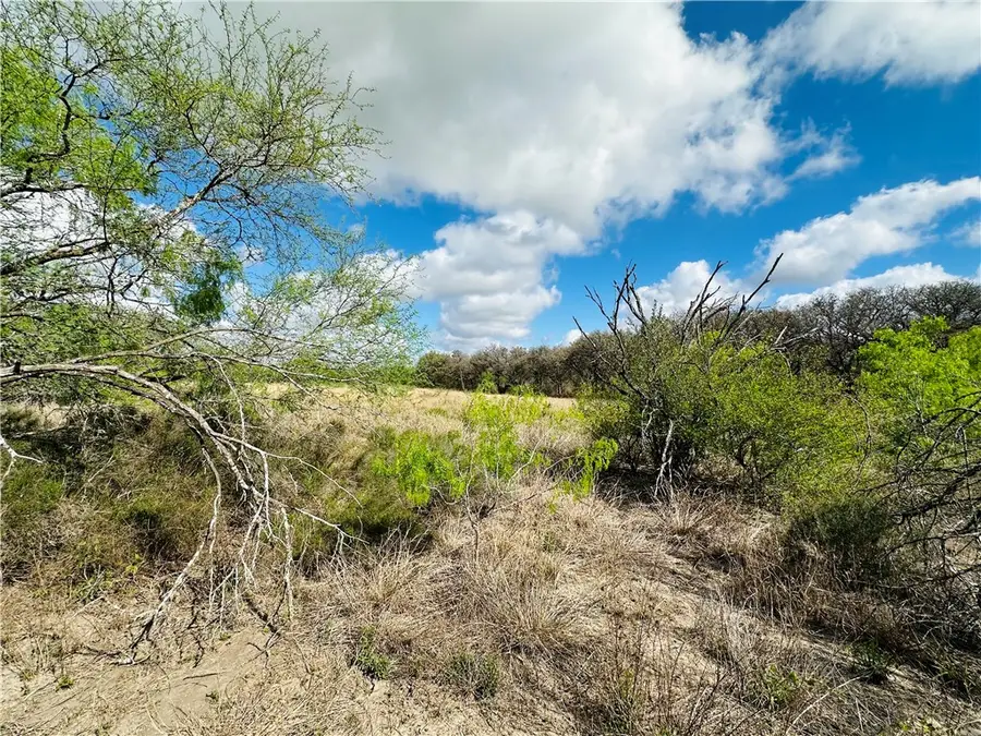 Address Withheld By Seller, Mathis, TX 78368 - #2