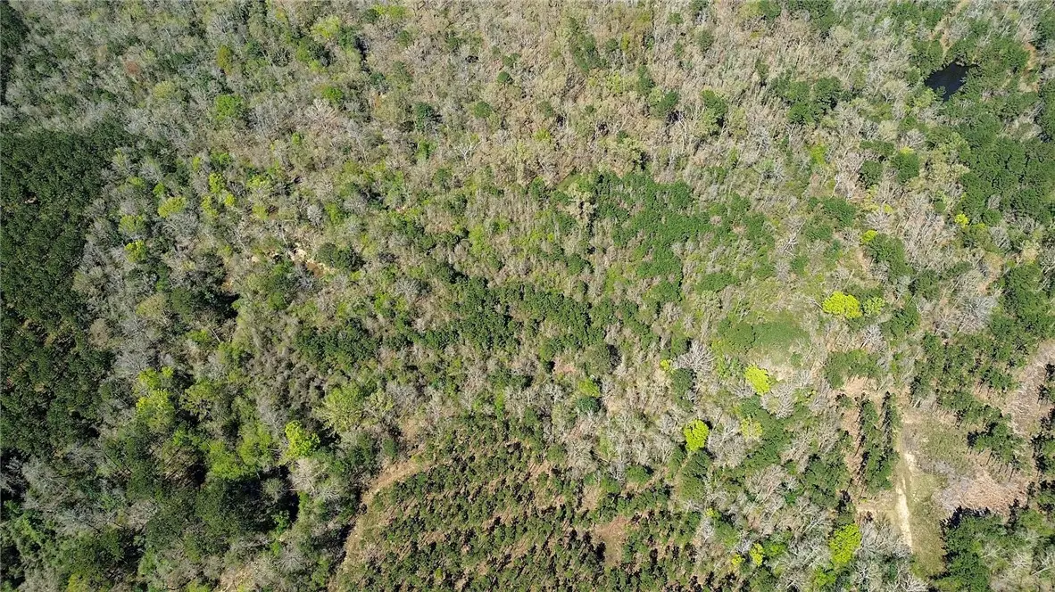 000 Fm 1012, Newton, TX 75966 - #1