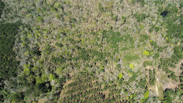 000 Fm 1012, Newton, TX 75966