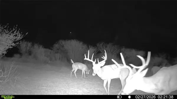 0 Cr 119, Alice, TX 78332