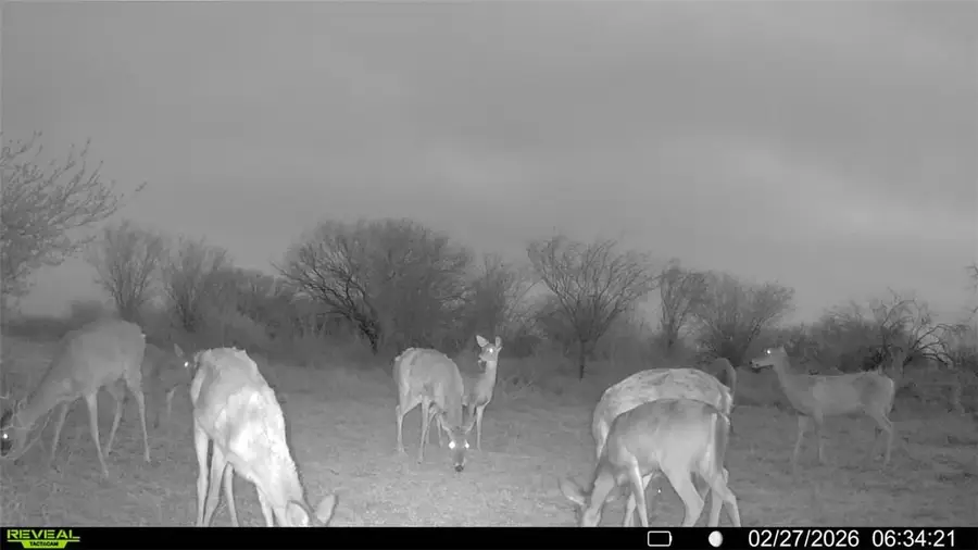 0 Cr 119, Alice, TX 78332 - #3