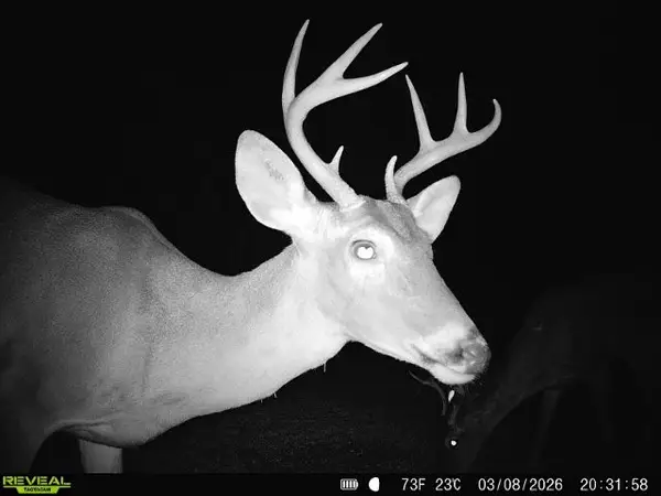 0 Cr 103, San Diego, TX 78334