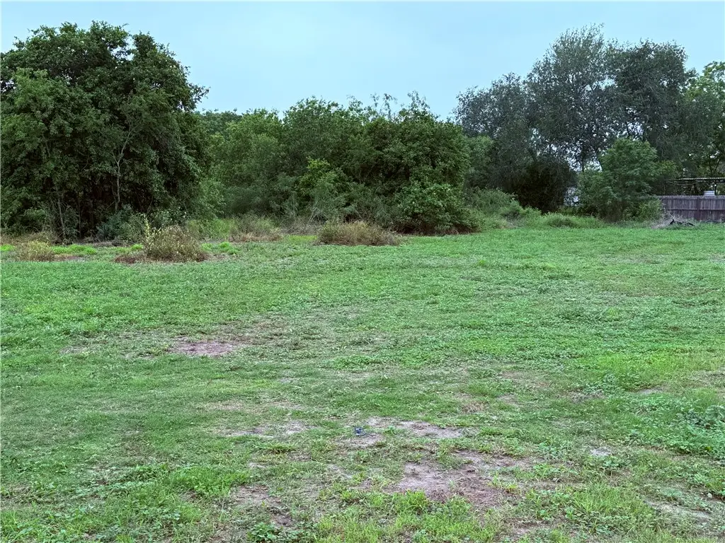 000 Olmito Street, Alice, TX 78332 - #1