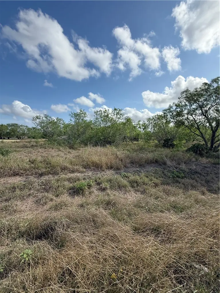 0 Heather, Robstown, TX 78380 - #3