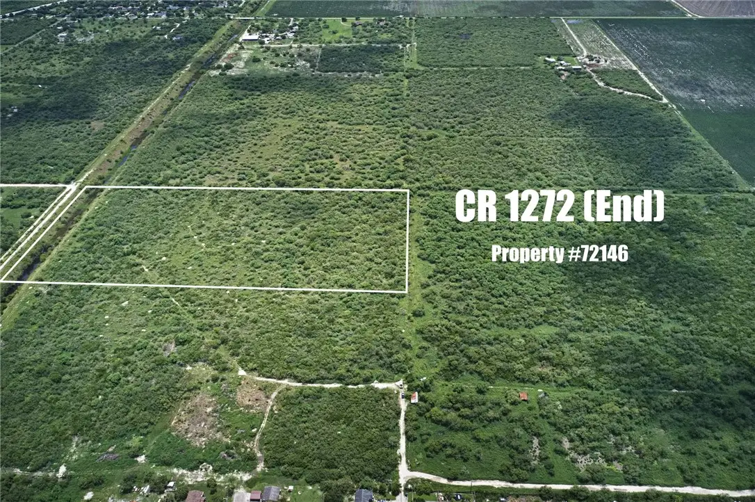 CR 1272 (end), Sinton, TX 78387 - #1